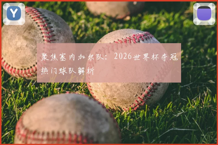 聚焦塞内加尔队：2026世界杯夺冠热门球队解析