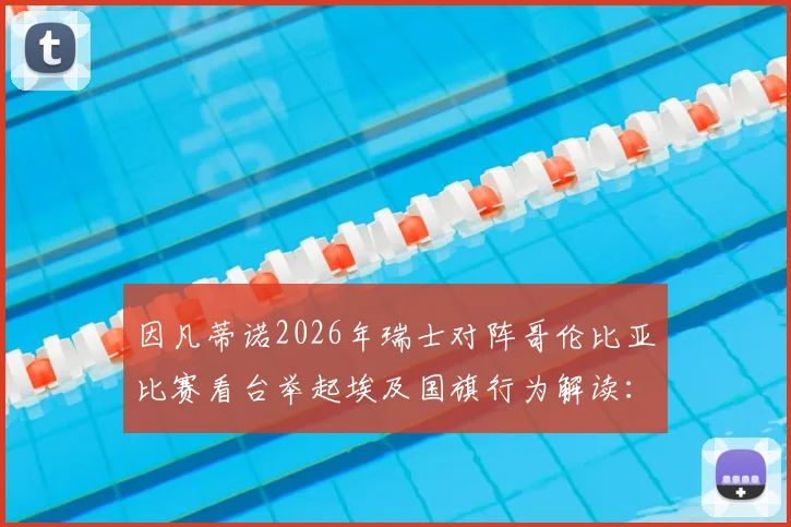 因凡蒂诺2026年瑞士对阵哥伦比亚比赛看台举起埃及国旗行为解读:背后含义与足球外交分析