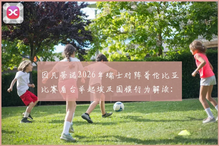 因凡蒂诺2026年瑞士对阵哥伦比亚比赛看台举起埃及国旗行为解读:背后含义与足球外交分析