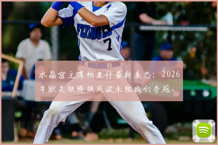 水晶宫主席帕里什最新表态：2026年欧足联降级风波未阻我们夺冠，实力球员才是终极答案