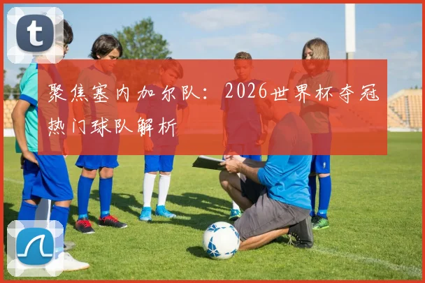 聚焦塞内加尔队：2026世界杯夺冠热门球队解析